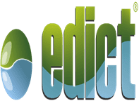 Edict接口API电子老虎机游戏
