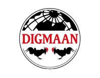 Digmaan接口API斗鸡游戏