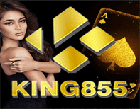 KING855代理开户